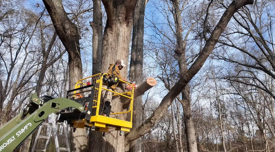 Amazon.com : PROYAMA 26CC 2-Cycle Top Handle Gas Powered Small